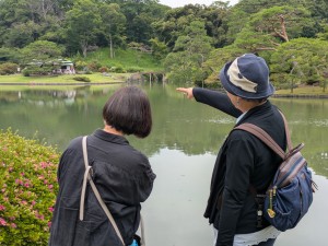 2025六義園アジサイ散歩02