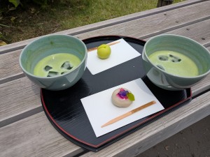 2025六義園アジサイ散歩04